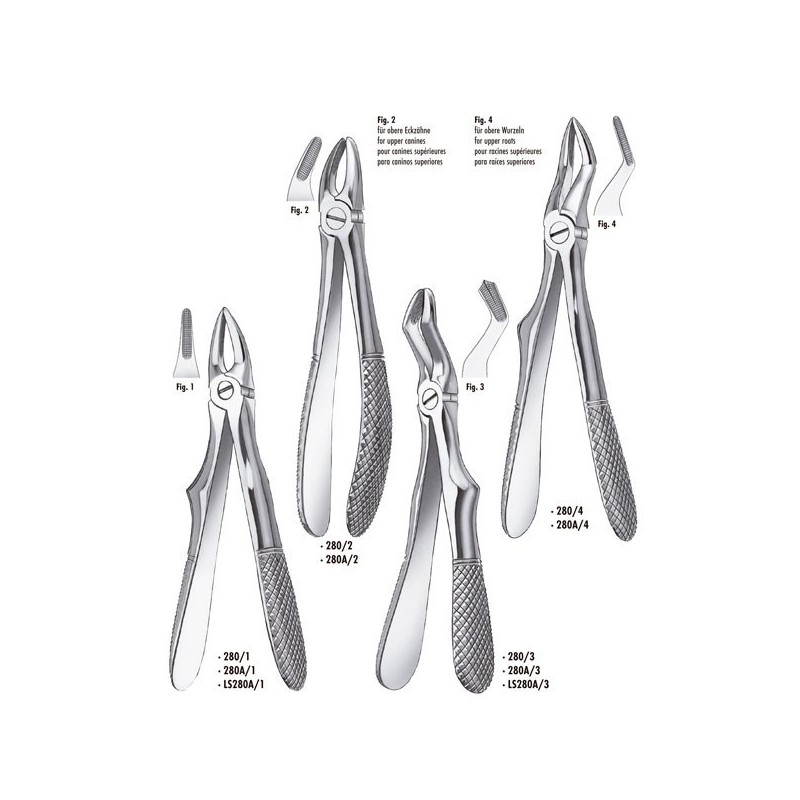 280A/3 FORCEPS KLEIN ENFANT MOLAIRE SUPERIEURE