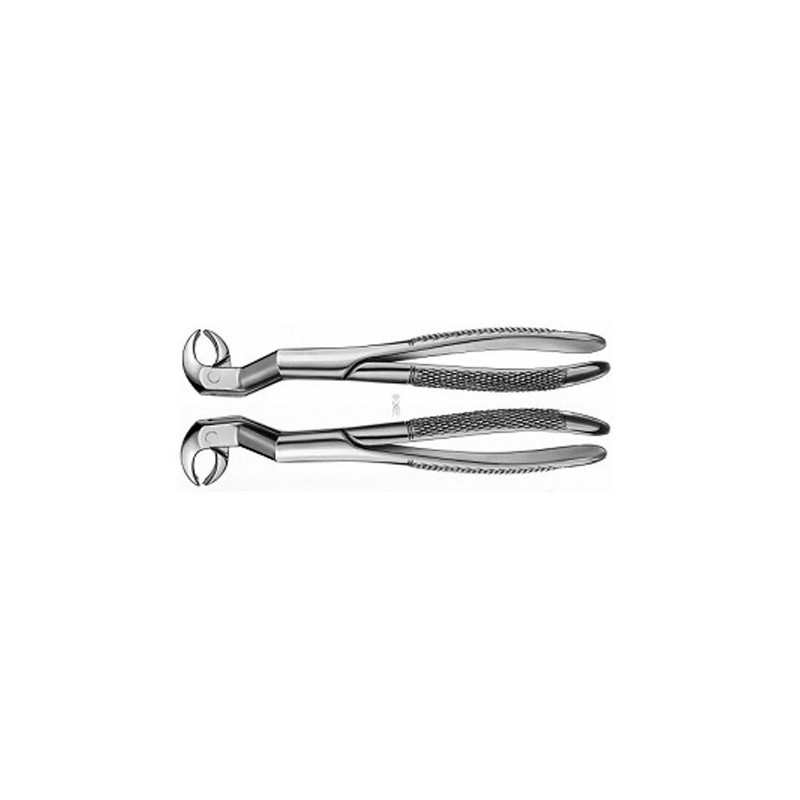 122 1/2R FORCEPS RACINES DROITE