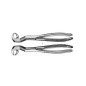 122 1/2R FORCEPS RACINES DROITE