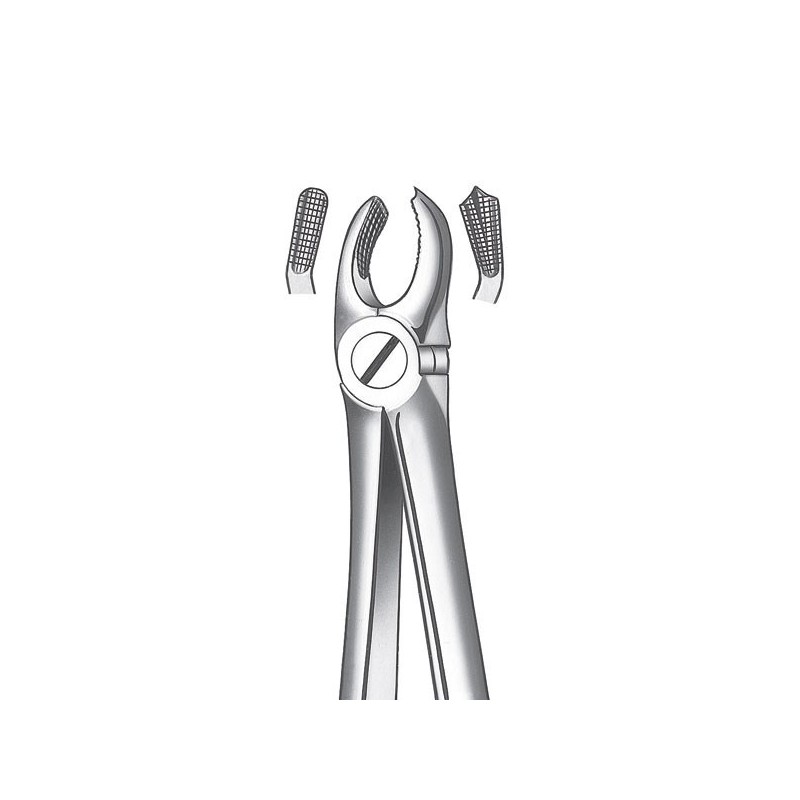 17D FORCEPS MOLAIRE SUPERIEURE DROITE DIAMANT