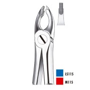 M115 FORCEPS INCIS-CANINE SUPERIEURE