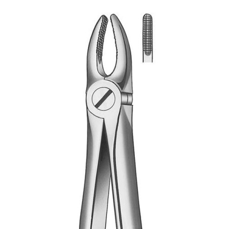 M2002 FORCEPS INCIS-CANINE SUPERIEURE