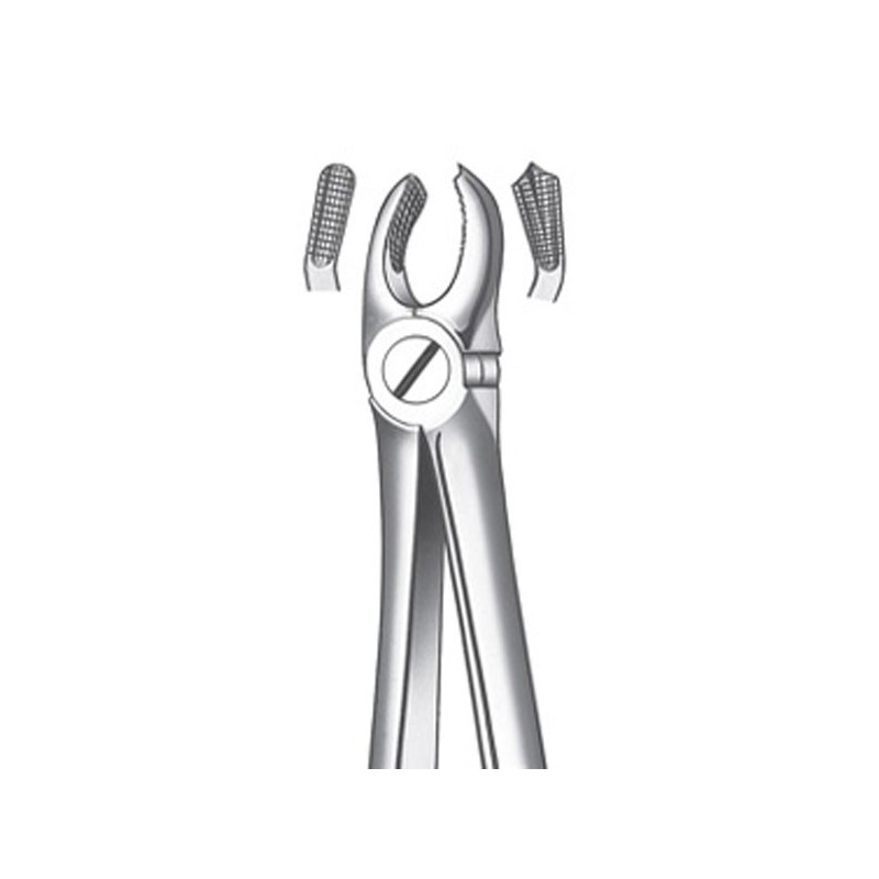 M2017 FORCEPS MOLAIRE SUPERIEURE DROITE