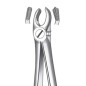 M2017 FORCEPS MOLAIRE SUPERIEURE DROITE