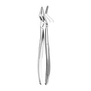 M2051 FORCEPS RACINES SUPERIEURE