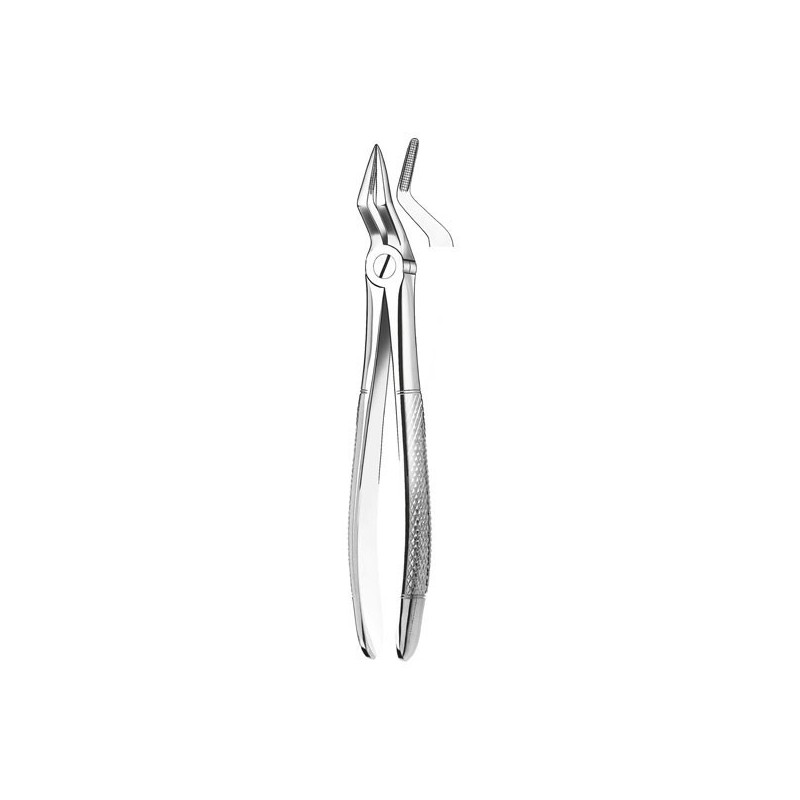 M2051 FORCEPS RACINES SUPERIEURE