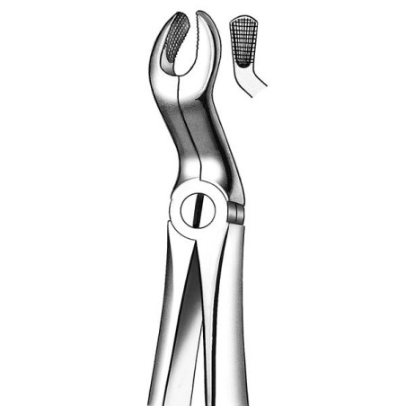 M2067A FORCEPS RACINES