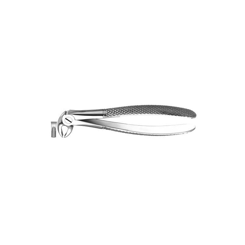 FORCEPS PREMOLAIRE INFERIEURE E13 CARL MARTIN