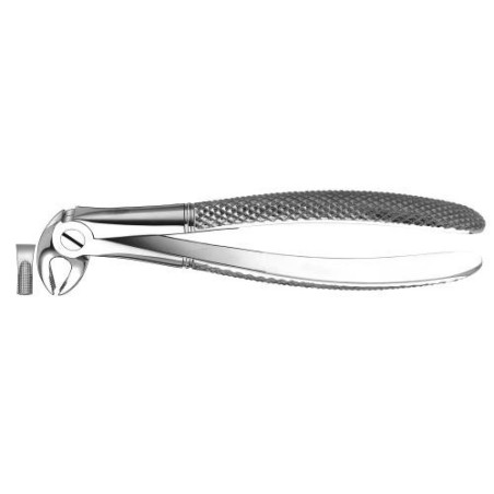 FORCEPS PREMOLAIRE INFERIEURE E13 CARL MARTIN