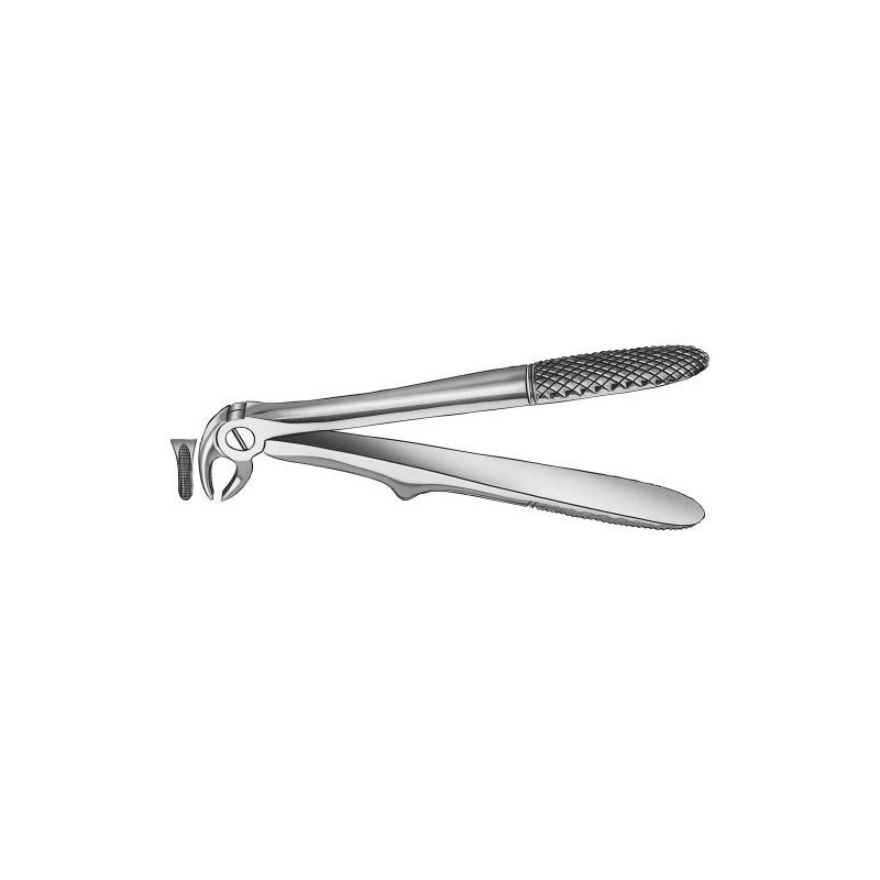 FORCEPS KLEIN ENFANTS CANINE SUPERIEURE Nº 280/5 CARL MARTIN