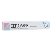 CERAMAGE INCISAL 58 4,6 g