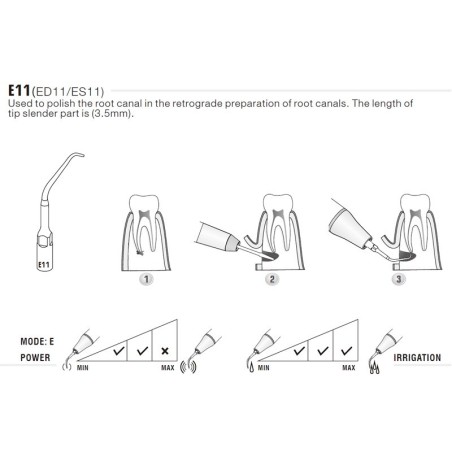 INSERT ENDO E11 POUR EMS