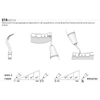 INSERT PROPHYLAXIE G10 POUR EMS