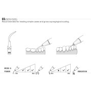 INSERT PROPHYLAXIE GS5 POUR SIROSONIC