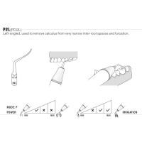 INSERT PERIO P2L POUR EMS