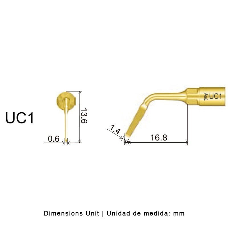 INSERT EXTRACTION UC1