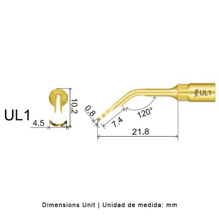 INSERT ELEVACION UL1