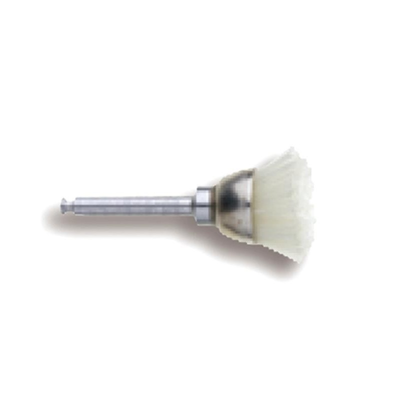 BROSSE PROPHYLAXIE CA BX12 UDES. FORME CUPULE CERDA BLANC (317036)