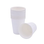 GOBELETS JETABLES BIO CUP 1000 Unites