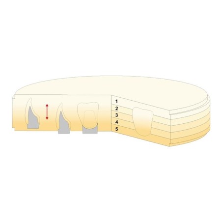 DISQUE ZIRCONIUM MULTICOUCHE GEO-5 16 mm 1 ud