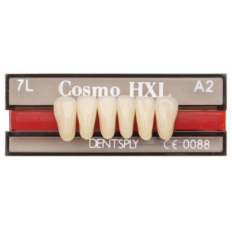 FORME DENTS COSMO HXL ant inf L3