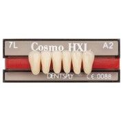 FORME DENTS COSMO HXL ant inf L1