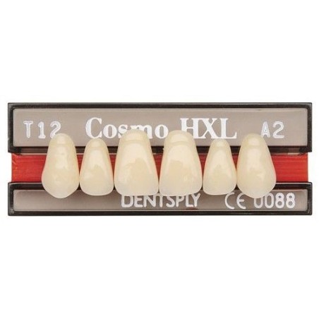 FORME DENTS COSMO HXL ant sup T10