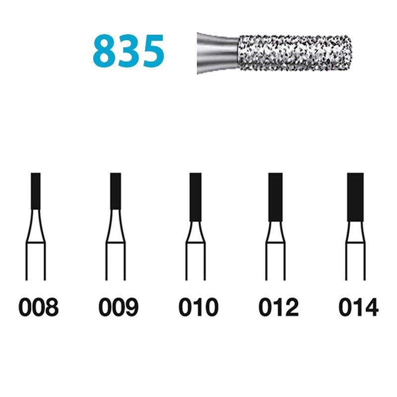 Fraises Diamant Turbine Grain Moyen 835 (008-014) Cylindre court 5 Unites
