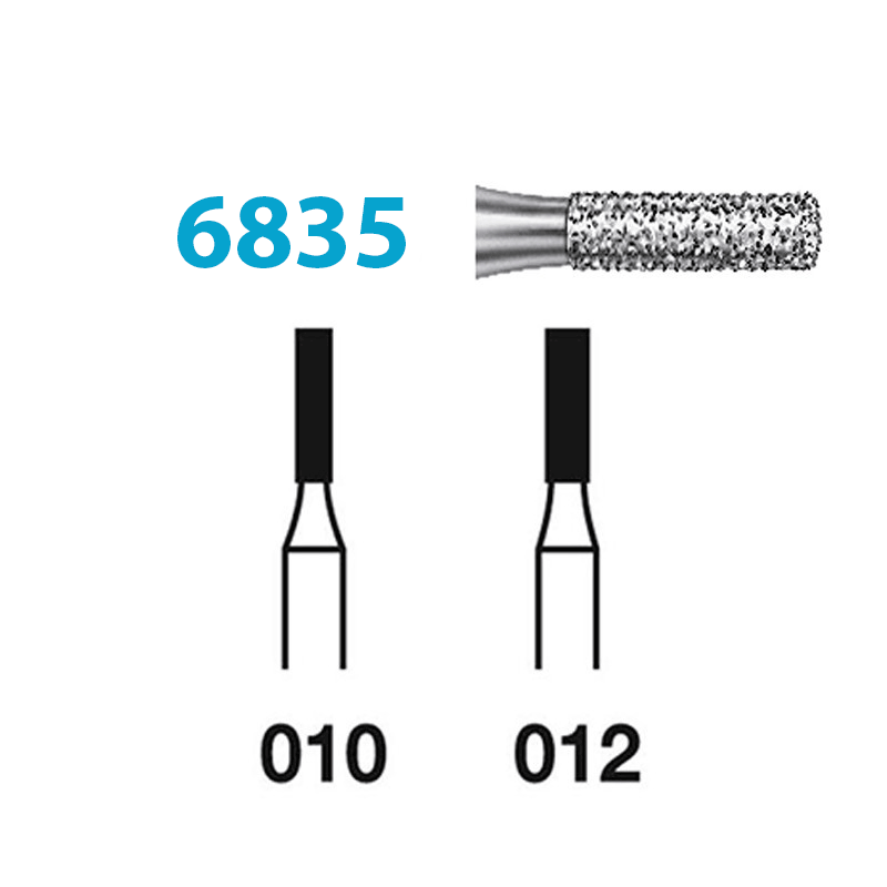 Fraises Diamant Turbine Grain Epais 6835 (010-012) Cylindre court 5 Unites