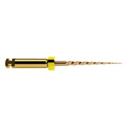 LIMES PROTAPER GOLD 19 mm. SX