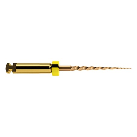 LIMES PROTAPER GOLD 19 mm SX 6 Unites