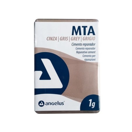 MTA ANGELUS CIMENT REPARATEUR GRIS 1 g.