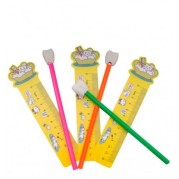 SET CRAYON AVEC CAOUTCHOUC MOLAIRE ET REGLE 20 unites