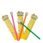 SET CRAYON AVEC CAOUTCHOUC MOLAIRE ET REGLE 20 unites