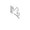 PEGASUS